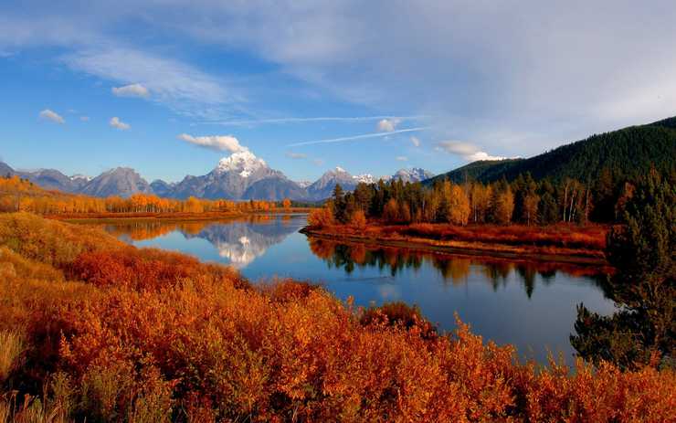 Programas a medida y Sistemas a medida